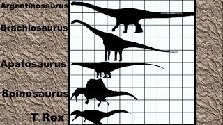 Dinosaur Size Comparison 2D [upl. by Edorej10]