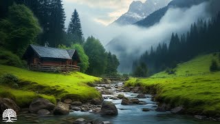 Beautiful Relaxing Music  Stop Overthinking Stress Relief Music Sleep Music Calming Music 1 [upl. by Stanislaw653]