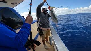 Golden TileFish caught on electric reel at Pulley Ridge [upl. by Nylave110]