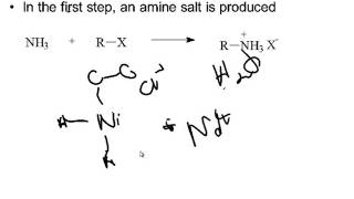 Preparation of Amines [upl. by Ariaec677]