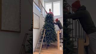 Set up our 12 foot tall Christmas tree with us 🎄 christmas holidays christmastree [upl. by Slein579]