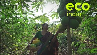 Eco India How can farmers thrive without using chemical fertilisers [upl. by Ellehcyar]