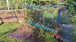 Unsere kleine Vielfaltswelt Folge2 Heidelbeeren und Tomaten [upl. by Walling]