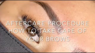 Microblading Aftercare  How to take care of your Microbladed Brows [upl. by Montana]