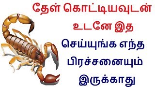 First Aid and Home remedies for Scorpion bite in Tamil  Aid tips in Tamil [upl. by Theona281]