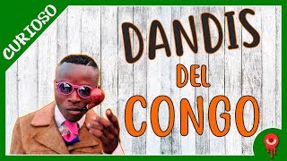 ¿Quiénes son los Dandis del Congo CURIOSO [upl. by Wilson]