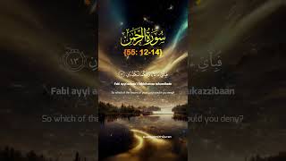 Mash Allah ♥️ ♥️ quran allah islam tiktok islamicmedia 1millionviews recitation shorts [upl. by Enimassej]