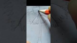 Tal Gas drawning  Palm tree drawing  drawing plamtree talgac [upl. by Airotel794]