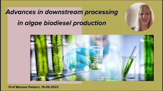 Downstream processing of biodiesel production with algae [upl. by Nairb507]