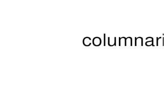 How to pronounce columnaris [upl. by Arahc]