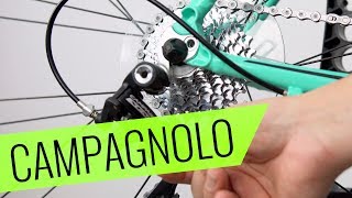 Campagnolo Xenon 10fach Schaltung einstellen  einfach amp schnell  Fahrradorg [upl. by Eirene634]