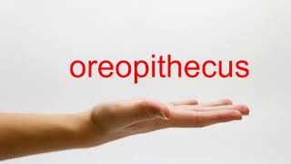 How to Pronounce oreopithecus  American English [upl. by Craw]