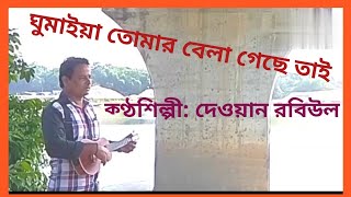 নিতাইগঞ্জ যাওয়ার কথা  দেওয়ান রবিউল  Nitaigonj jawar Kotha  Dewan Rabiul [upl. by Bollinger973]