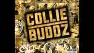 collie buddz movin on LYRICS IN DESCRIPTION [upl. by Ayikahs922]