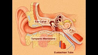 EUSTACHIAN TUBE DYSFUNCTION  DRFOHEID ALSOBEI [upl. by Eitsym]