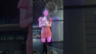 Advertising 3D Hologram Fan Holographic Projector 3D Holographic Display [upl. by Gerger]