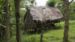 Tuvalu Gospel song Faleumu [upl. by Ianej]