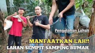 MANFAATKAN LAH LAHAN SEMPIT SAMPING RUMAH BERKEBUN [upl. by Gianna]