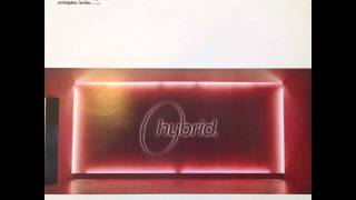 Hybrid  Finished Symphony HQ [upl. by Fe]