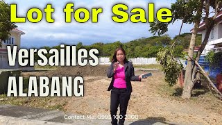 300 sqm Lot for Sale in Versailles Alabang [upl. by Danyelle]