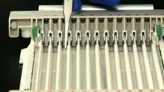 mPAGE® Gel Caster and Mini Gel System [upl. by Asylem]