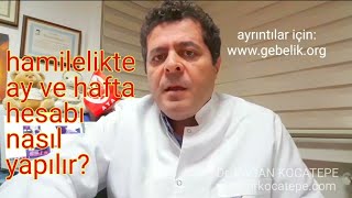 Hamilelik ay olarak haftaya çevrilirken veya tam tersi hesaplamada nasıl bir yol izlenmelidir [upl. by Zolly774]