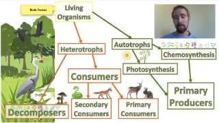 Biology 012 Ecosystems  Biotic and Abiotic Factors [upl. by Firahs]