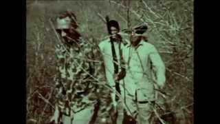 Rare Footage Tiger Hunting with Recurve Bow From The Fred Bear Archive [upl. by Enelez]