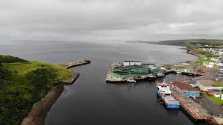 Scenes of the Burin Peninsula Newfoundland by Air [upl. by Onairam577]