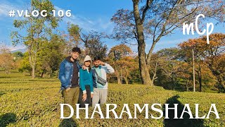 Group Trip to Dharamshala  vlog 106 dharamshala stadium buddha [upl. by Temhem]