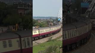 Shorts 61306 train 61306 Mayflower B1 steamtrain steamtrains dawlish 1Z27 LNER [upl. by Karlis808]