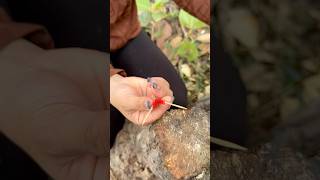 Survival Skills Single mom show SMART idea and USEFUL in forest camping bushcraft outdoor [upl. by Vincent]