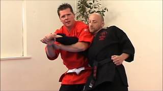 Jiu Jitsu Red Belt  Arm Locks [upl. by Omissam629]