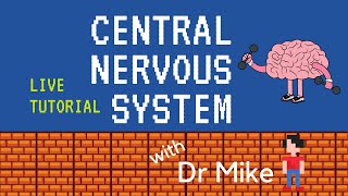 Live Tutorial Central Nervous System [upl. by Theressa385]