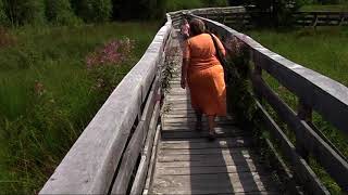 Tarnawa Nizna Wetlands Reserve Poland [upl. by Walston]