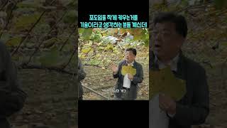 포도잎을 작게 키우는거를 기술이라고 생각 포도잎 [upl. by Auguste]