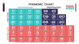 PHONETICAL TRANSCRIPTION EXAMPLES  VIDEO LECTURE Dr NISHITHA [upl. by Samira]