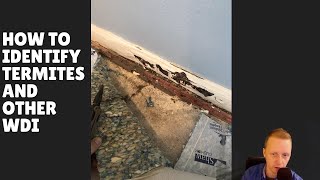 How to identify termites and other wood destroying insects  The Houston Home Inspector [upl. by Alehc14]