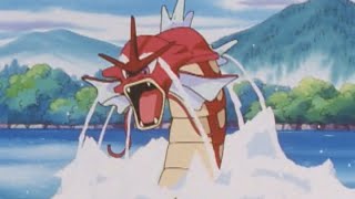 Angry Gyarados  Pokémon Master Quest  Official Clip [upl. by Avon45]