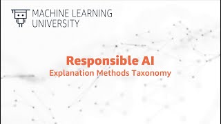 Responsible AI 2630  Explanation Methods Taxonomy [upl. by Ilhsa681]