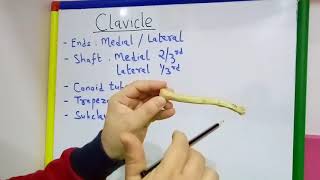 CLAVICLE GENERAL FEATURES AND ATTACHMENTS BY DR MITESH DAVE [upl. by Mihar]