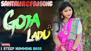 Goja ladu Dj Song R c f Wala 🔹New Santali DJ Song 2024🔹Dj Sagen Misti Pukur [upl. by Yevre789]