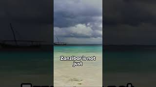 Top Things to Do in Zanzibar Tropical Paradise 2024 [upl. by Alic]