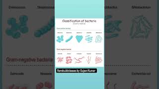 Classification of bacteria youtube [upl. by Collis]