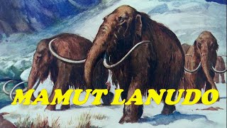 MAMUT LANUDO [upl. by Ellerret]