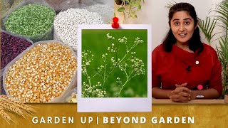 The Gajar Ghaas Problem I Beyond Garden Episode 1 [upl. by Aihsit]