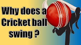 WHY DOES A CRICKET BALL SWING   REVERSE SWING EXPLAINED [upl. by Eerej432]