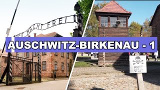 A Visit to Auschwitz Remembering the Holocaust [upl. by Tterrab]