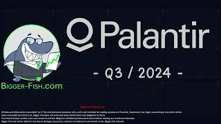 PLTR Palantir Q3 2024 Earnings  How did they do looking at key fundamental metrics [upl. by Iturk]