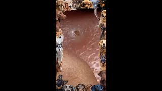 Blackhead Removal  14 Blackhead extraction  blackheads [upl. by Llennoc]